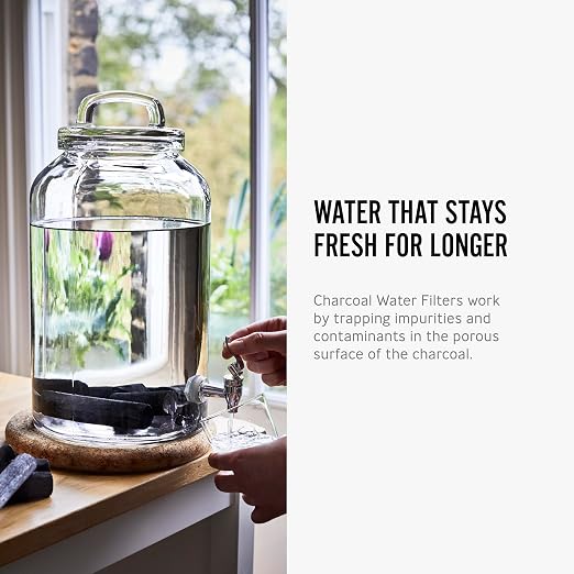Black + Blum Charcoal Water Filter Sticks | Charcoal Filter Hydration Old Japanese Tradition, Lasting 6 Months Each, Wood Black (1 Piece)