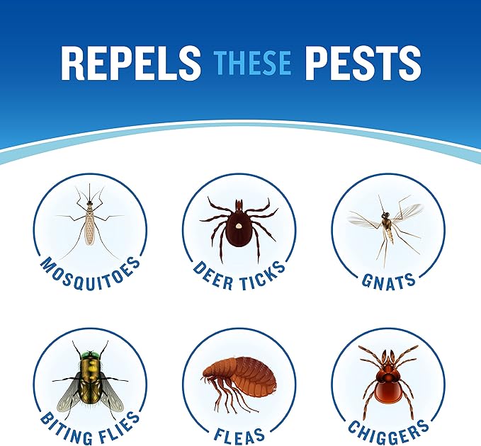 Cutter Dry Insect Repellent, Mosquito Repellent, Not Oily Or Greasy, 10% DEET , 4 Ounce (Aerosol Spray)