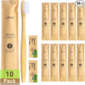 10 Pack Bamboo Toothbrushes Kit, Disposable Travel Toothbrushes with Toothpaste (6g), Individually Wrapped Guest Dental Kit for Hotel Amenities, Airbnb Hosts, Travel & Camping