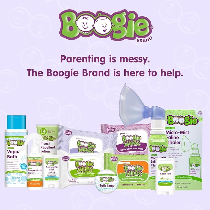 Boogie Antibacterial Hand Wipes, Alcohol Free, Hypoallergenic and Moisturizing Aloe, For Kids and Adults - 30 Wipes (Pack of 2)