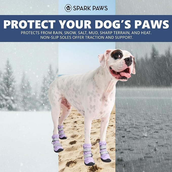 Spark Paws Dog Rainboots, Waterproof Dog Shoes for Medium to Large Dogs, Non Slip, Dog Booties and Paw Protectors - 4PCS Doggie Hiking Boots with Reflective Straps - Lilac, Size 3