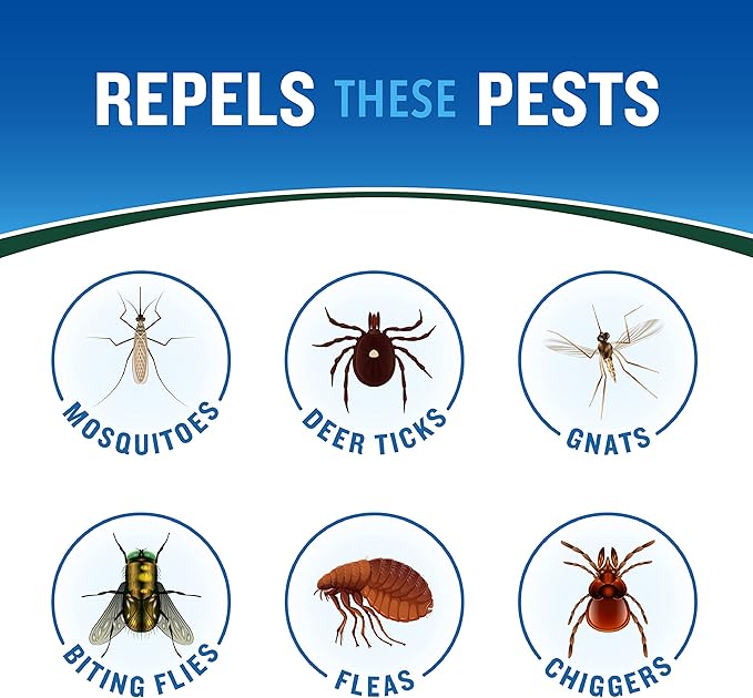 Cutter Backwoods Insect Repellent (12 Pack), Repels Mosquitos for Up To 10 Hours, 25% DEET, 6 Ounce (Aerosol Spray)
