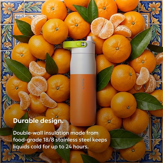 LARQ Swig Top — Insulated Stainless Steel Water Bottle with Straw, Detachable Silicone Handle, Vacuum 24h Cold, BPA-Free Metal Bottle for Gym, Travel, Office — 23 oz, Sorrento Tangerine