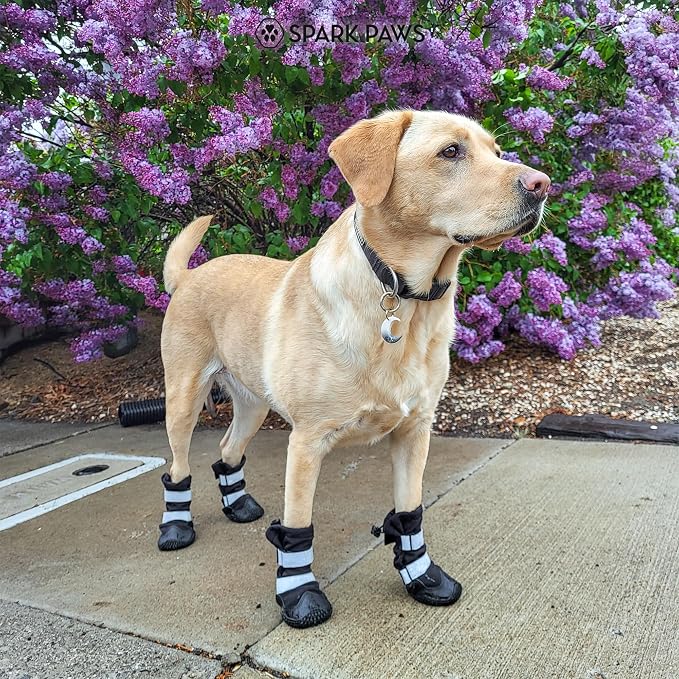 Spark Paws Dog Rainboots, Waterproof Dog Shoes for Medium to Large Dogs, Non Slip, Dog Booties and Paw Protectors - 4PCS Doggie Hiking Boots with Reflective Straps - Black, Size 5